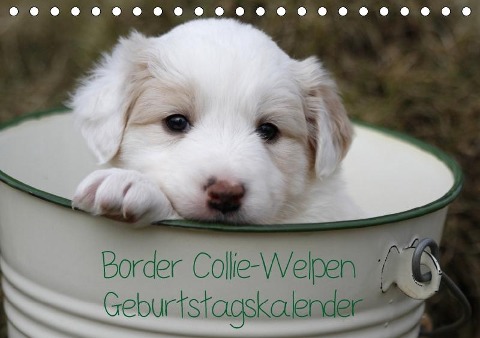 Border Collie-Welpen Geburtstagskalender (Tischkalender immerwährend DIN A5 quer) - Antje Lindert-Rottke