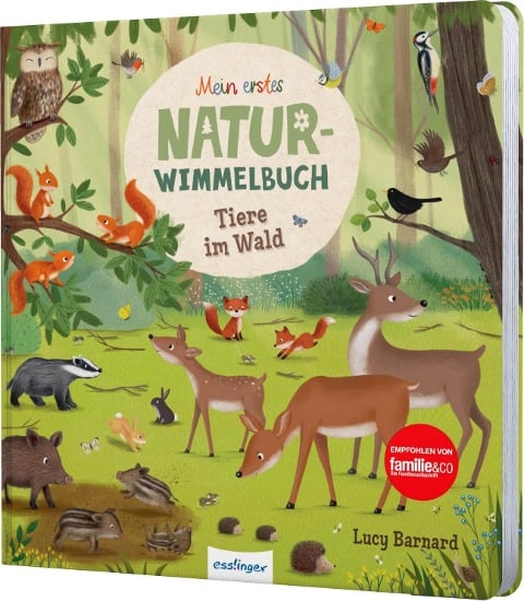 Mein erstes Natur-Wimmelbuch: Tiere im Wald - Sibylle Schumann