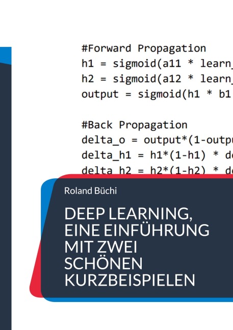 Deep Learning, eine Einführung mit zwei schönen Kurzbeispielen - Roland Büchi