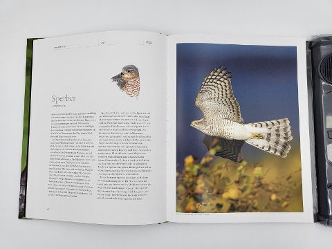 InsideView 5