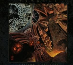 A Beacon In The Husk - Abyssal