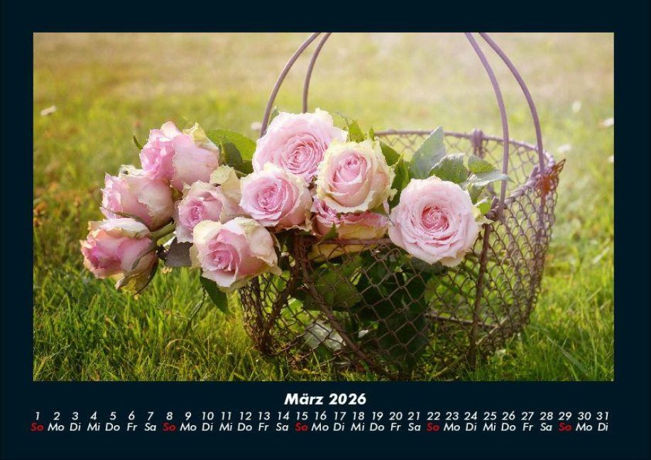 InsideView 7