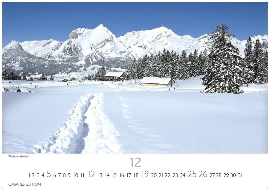 InsideView 12