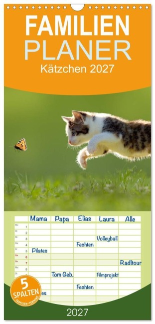 Familienplaner 2027 - Kätzchen 2027 mit 5 Spalten (Wandkalender, 21 x 45 cm) CALVENDO - Leoba Leoba