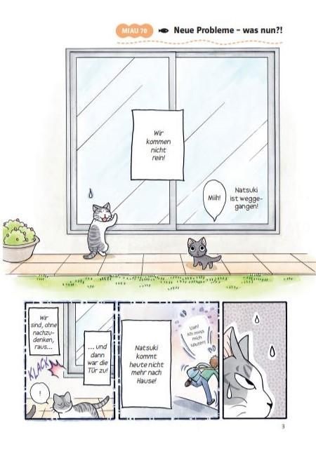 InsideView 4