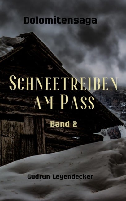 Schneetreiben am Pass - Gudrun Leyendecker