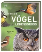 Cover-Bild zum Titel 'Heimische Vögel lebensgroß' von 'Nancy J. Hajeski'