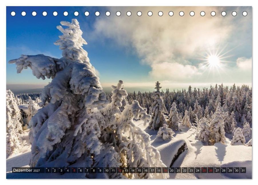 InsideView 4