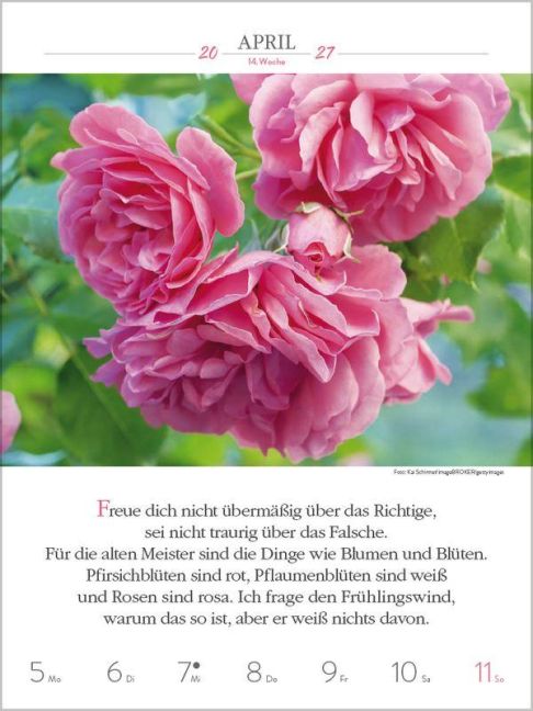 InsideView 5
