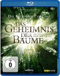 Cover-Bild zum Titel 'Das Geheimnis der Bäume' von 'Luc Jacquet, Francis Hallé, Éric Neveux'