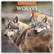 Wolves - Wölfe 2026 - 16-Monatskalender - Robin Red