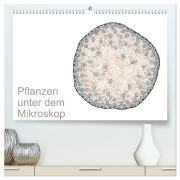 Cover-Bild zum Titel 'Pflanzen unter dem Mikroskop (hochwertiger Premium Wandkalender 2026 DIN A2 quer), Kunstdruck in Hochglanz' von 'Martin Schreiter'