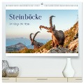 Steinböcke - Die Könige der Alpen (hochwertiger Premium Wandkalender 2025 DIN A2 quer), Kunstdruck in Hochglanz - Michaela Kramer