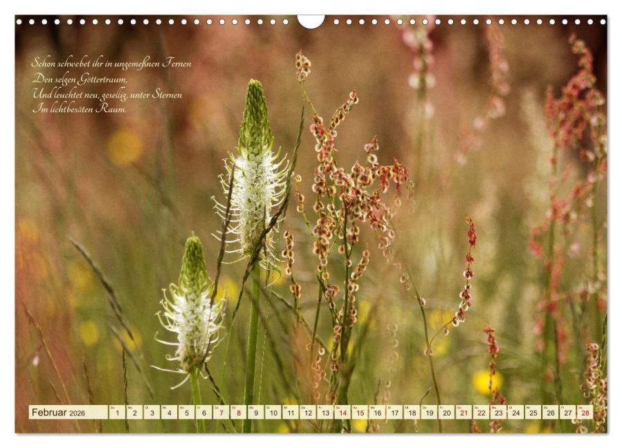 InsideView 7