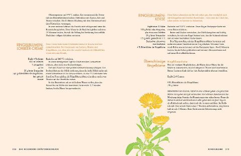 InsideView 14