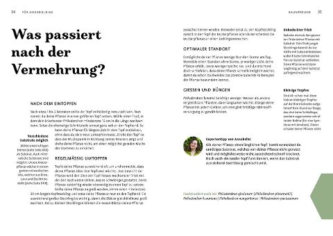 InsideView 4