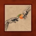 Cover-Bild zum Titel 'Vitamin C' von 'My Ugly Clementine'