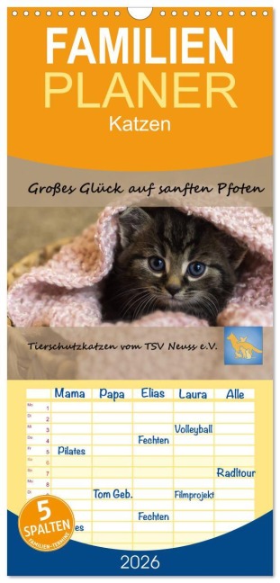 Familienplaner 2026 - Tierschutzkatzen vom TSV-Neuss - Großes Glück auf sanften Pfoten mit 5 Spalten (Wandkalender, 21 x 45 cm) CALVENDO - Jane B