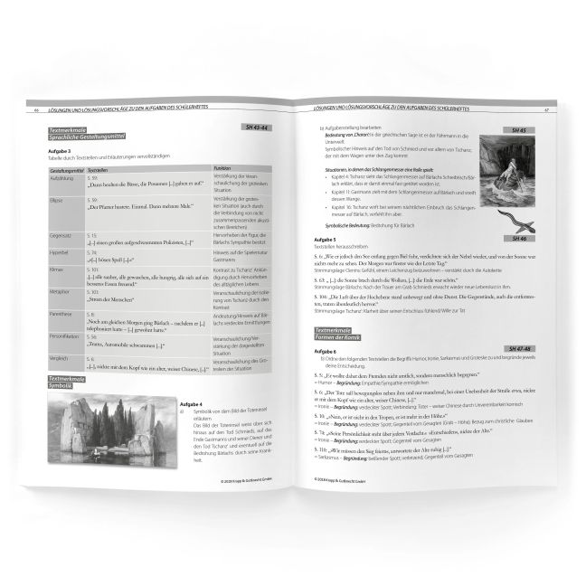 InsideView 2