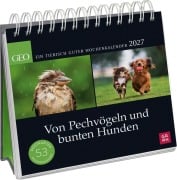 Cover-Bild zum Titel 'Postkartenkalender 2027: Von Pechvögeln und bunten Hunden' von ''