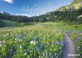 Malerische Wege 2025 - Wand-Kalender - 42x29,7 - Natur - 