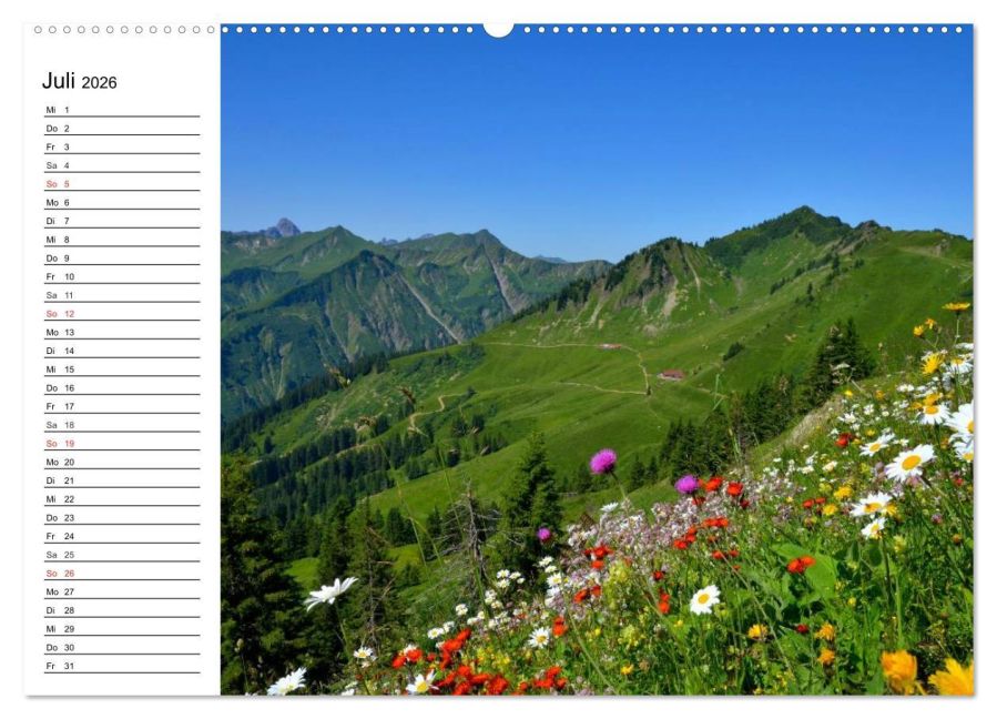InsideView 11