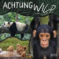 Achtung wild - Tiere aus aller Welt 2025 - 
