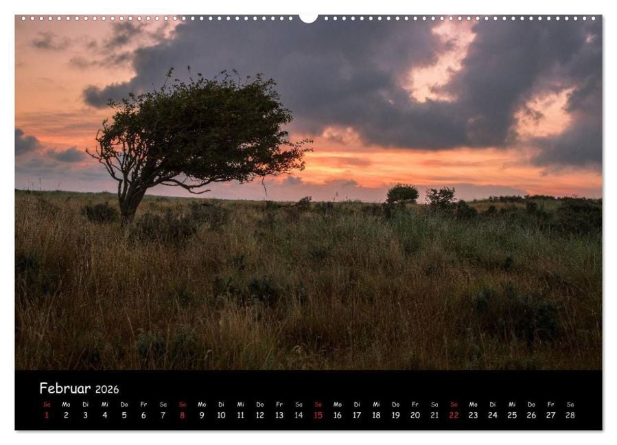 InsideView 7