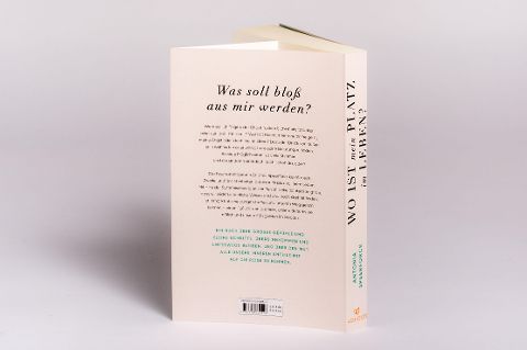 InsideView 6
