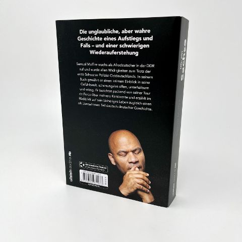 InsideView 2