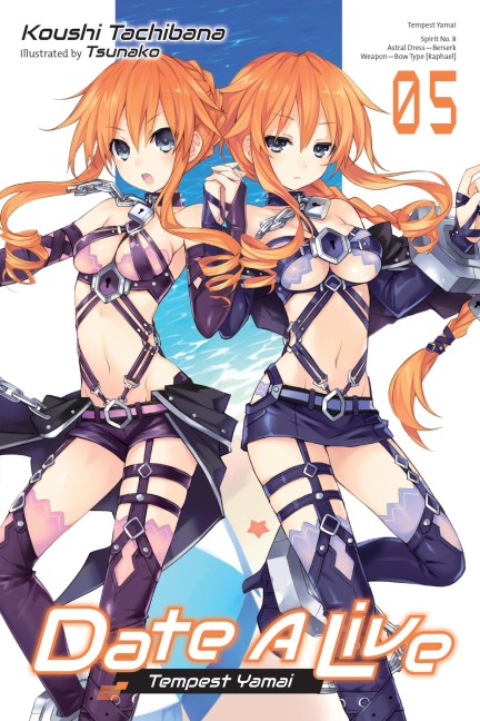 Date a Live, Vol. 5 (Light Novel) - Koushi Tachibana