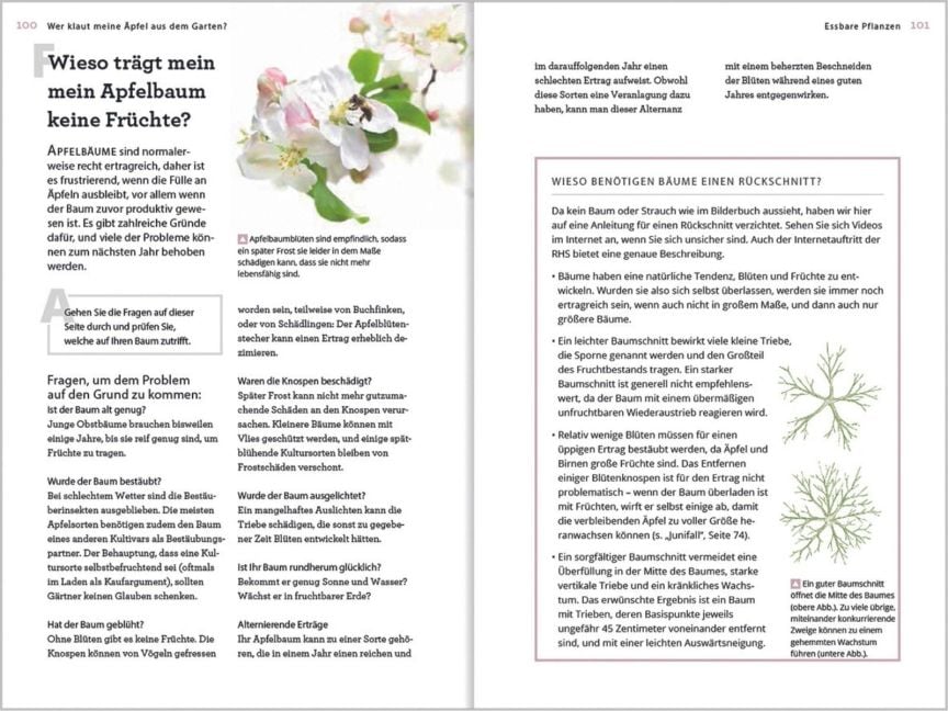 InsideView 6
