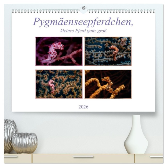 Pygmäenseepferdchen, kleines Pferd ganz groß (hochwertiger Premium Wandkalender 2026 DIN A2 quer), Kunstdruck in Hochglanz - Dieter Gödecke