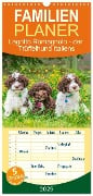 Familienplaner 2025 - Lagotto Romagnolo - der Trüffelhund Italiens mit 5 Spalten (Wandkalender, 21 x 45 cm) CALVENDO - Sigrid Starick