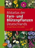 Cover-Bild zum Titel 'Bildatlas der Farn- und Blütenpflanzen Deutschlands' von 'Henning Haeupler, Thomas Muer'