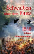 Cover-Bild zum Titel 'Schwalben über dem Fluss: Historischer Roman' von 'Ulrike Halbe-Bauer'