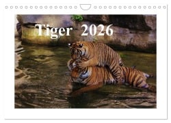 Cover-Bild zum Titel 'Tiger 2026 (Wandkalender 2026 DIN A4 quer), CALVENDO Monatskalender' von 'Jörg Hennig'