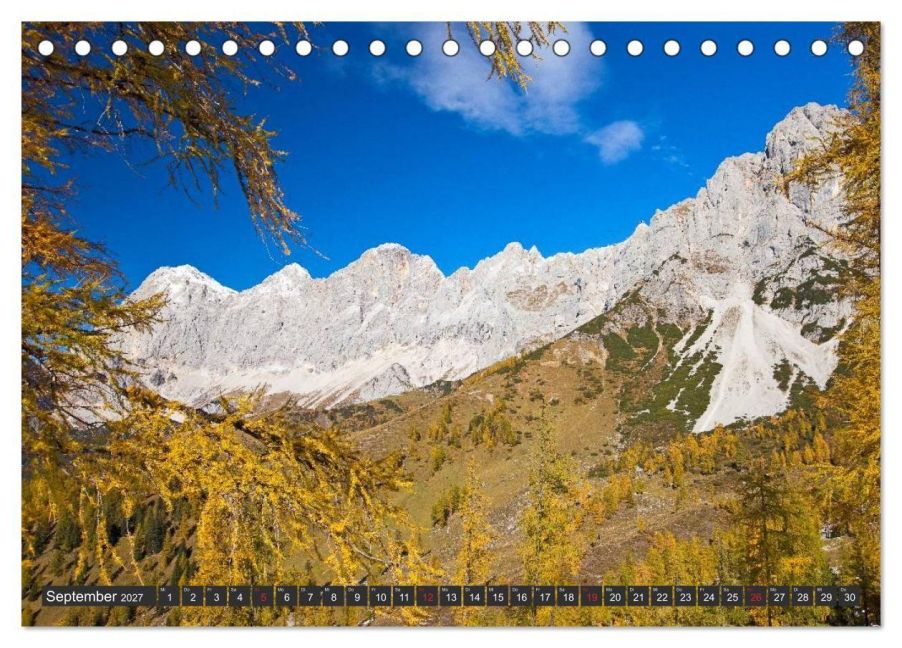 InsideView 14