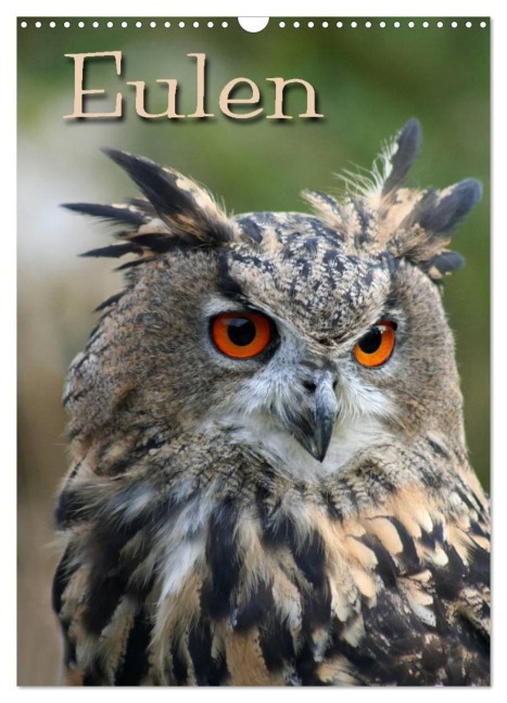Eulen (Wandkalender 2026 DIN A3 hoch), CALVENDO Monatskalender - Pferdografen. de Martina Berg Antje Lindert-Rottke