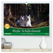 Weiße Schäferhunde in schönen Landschaften (hochwertiger Premium Wandkalender 2026 DIN A2 quer), Kunstdruck in Hochglanz - Martina Schikore