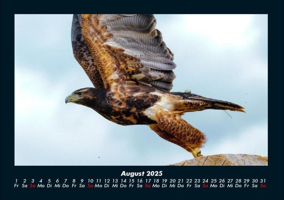 InsideView 12
