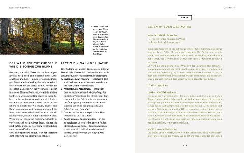 InsideView 5