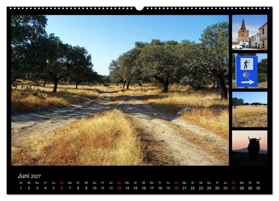 InsideView 11