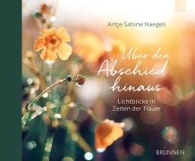 Cover-Bild zum Titel 'Über den Abschied hinaus' von 'Antje Sabine Naegeli'