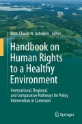 Cover-Bild zum Titel 'Handbook on Human Rights to a Healthy Environment' von ''