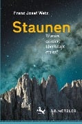 Staunen - Franz Josef Wetz