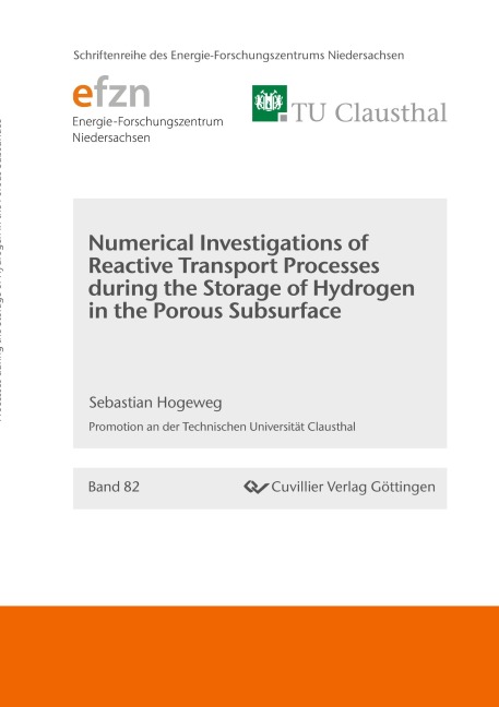 Numerical Investigations of Reactive Transport Processes during the Storage of Hydrogen in the Porous Subsurface - Sebastian Hogeweg