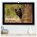 MIXlinge (hochwertiger Premium Wandkalender 2025 DIN A2 quer), Kunstdruck in Hochglanz - Kathrin Köntopp