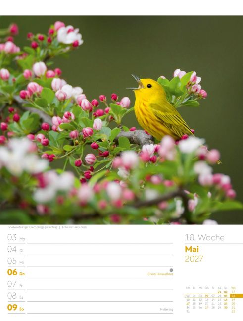 InsideView 22