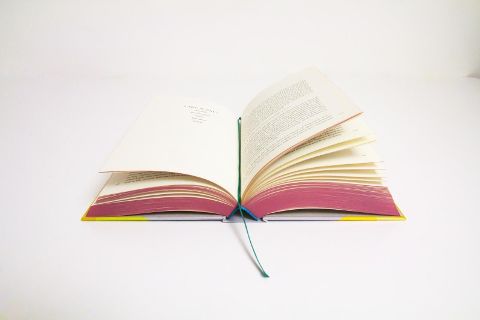 InsideView 8